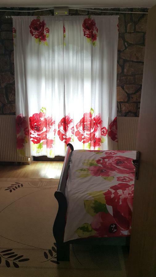 Sara Hotel Buzet Exterior photo